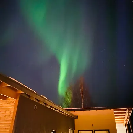 Ailo * Rovaniemi